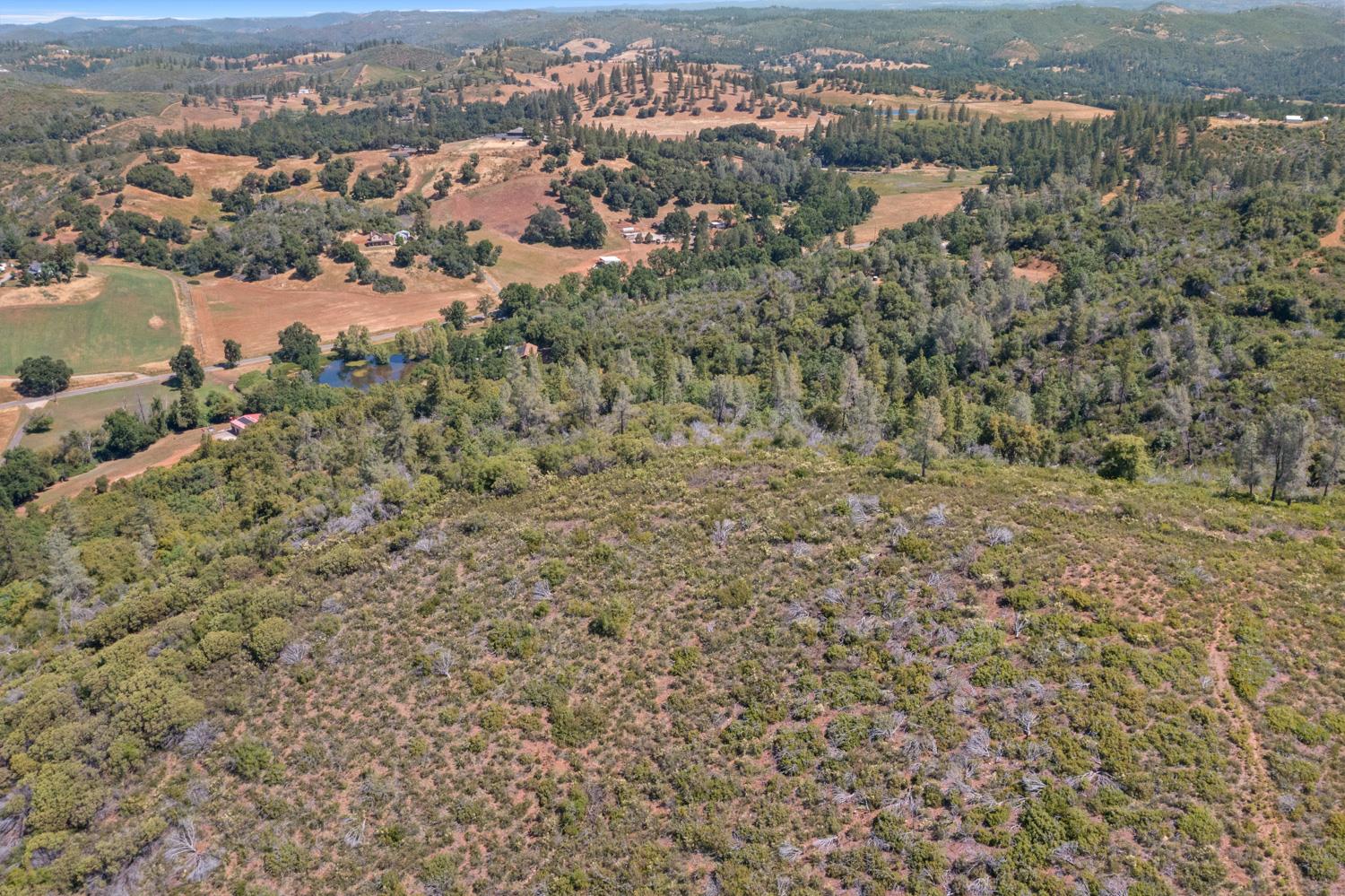 Starlight Lane, Mountain Ranch, California image 9