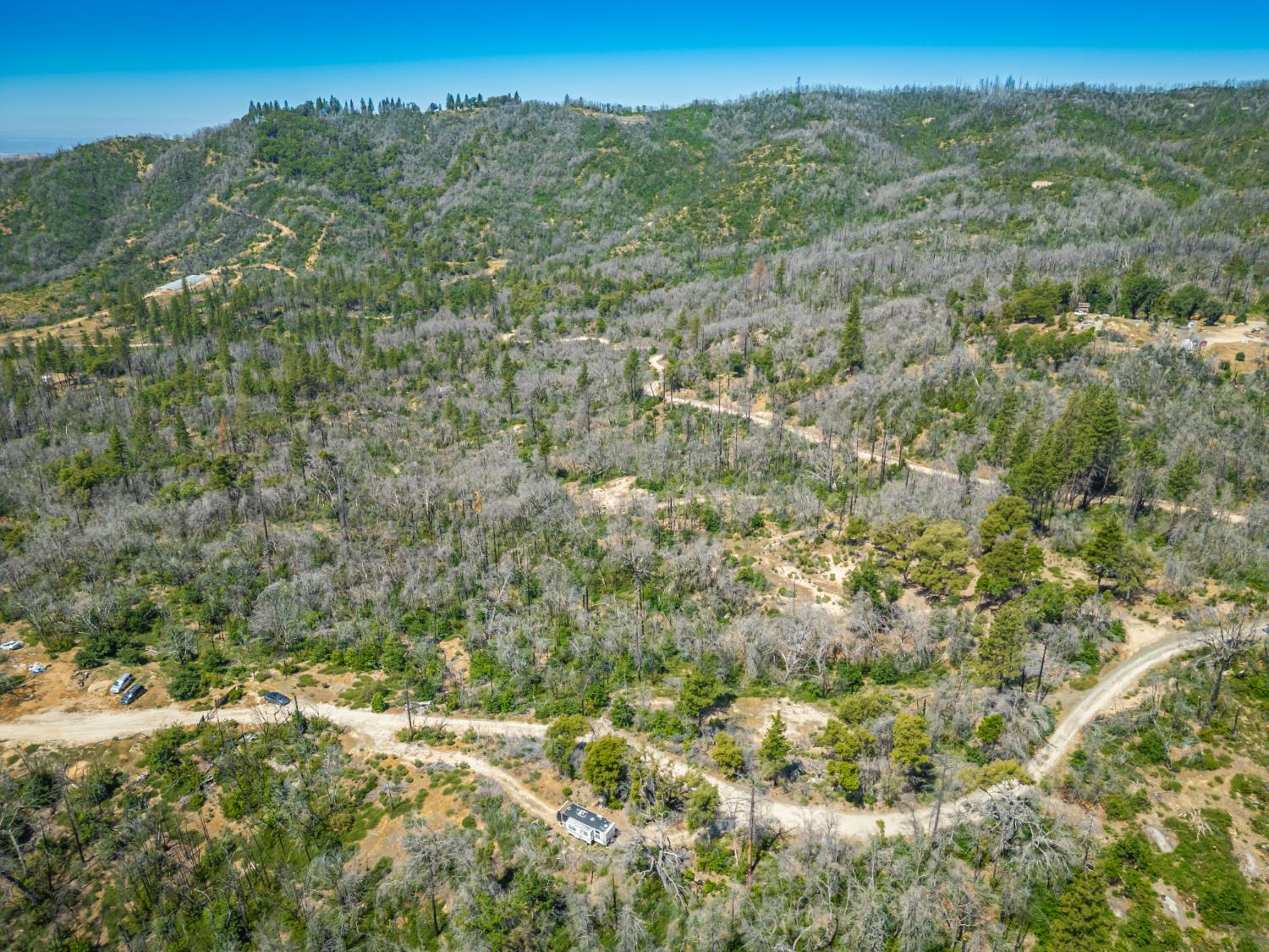 Possum Lane, Berry Creek, California image 17