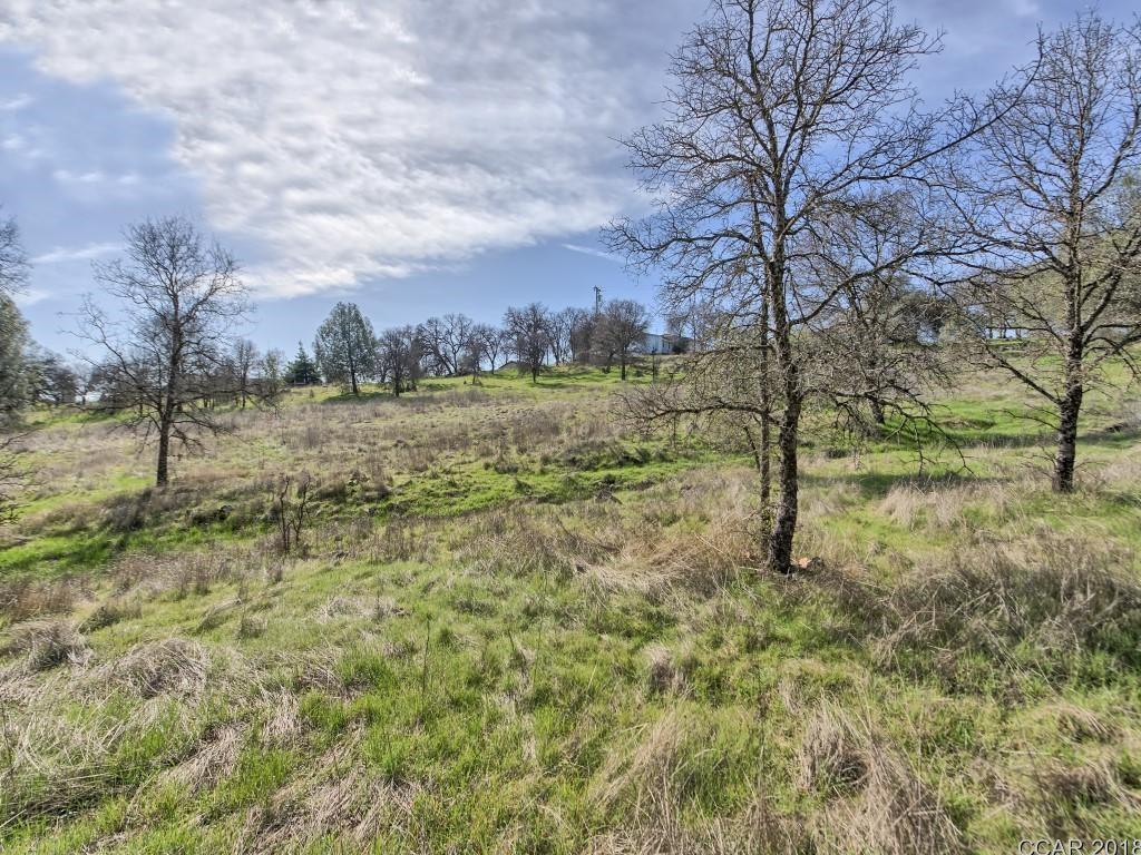 Murphys Grade Road, Angels Camp, California image 13