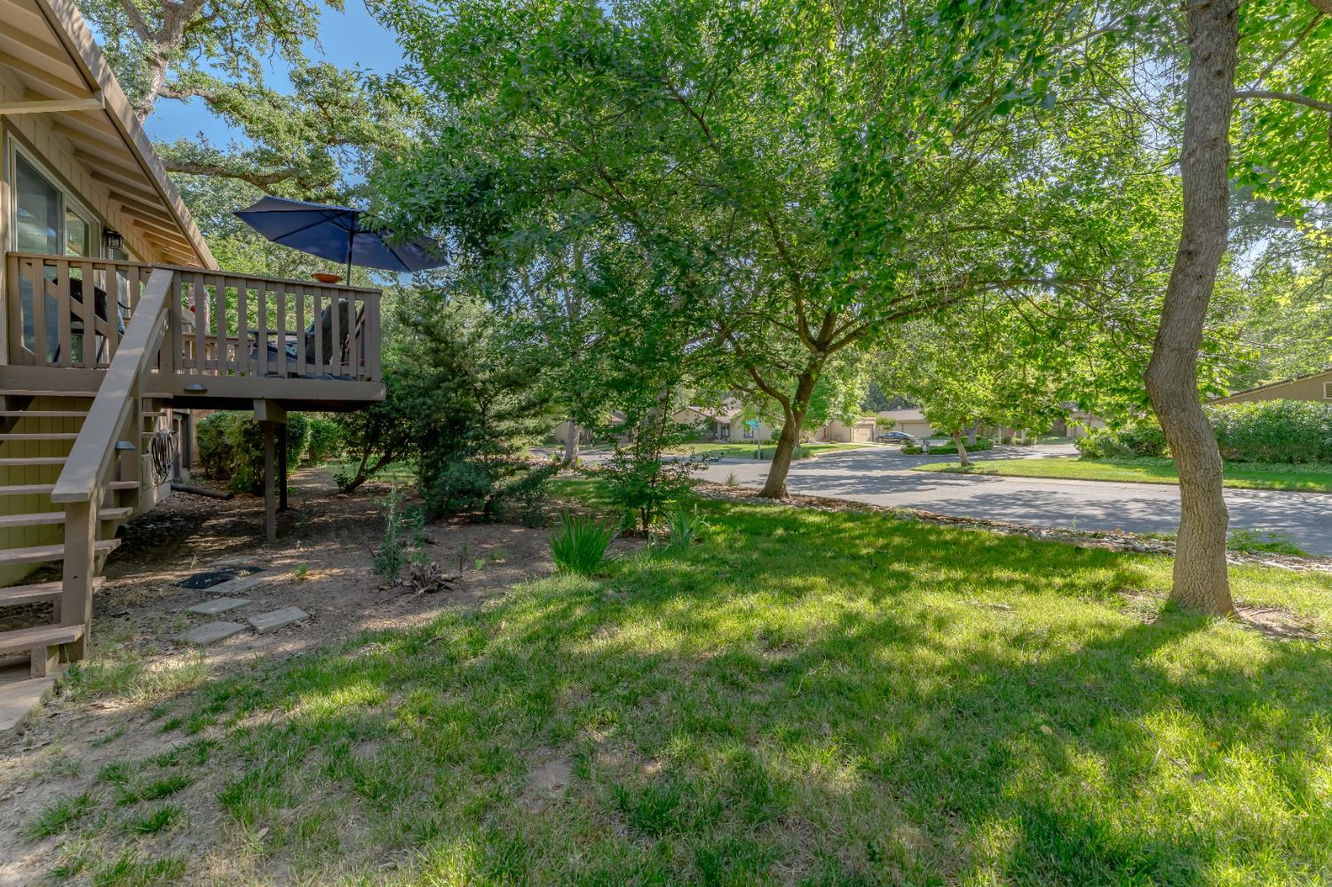 Toluca Lane, Citrus Heights, California image 30
