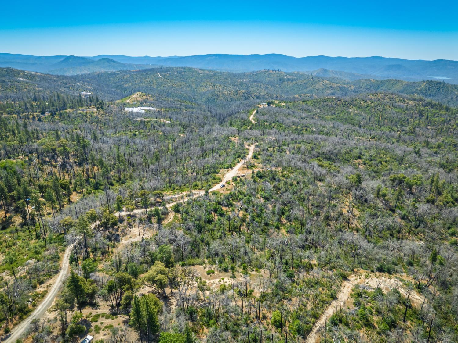 Possum Lane, Berry Creek, California image 10