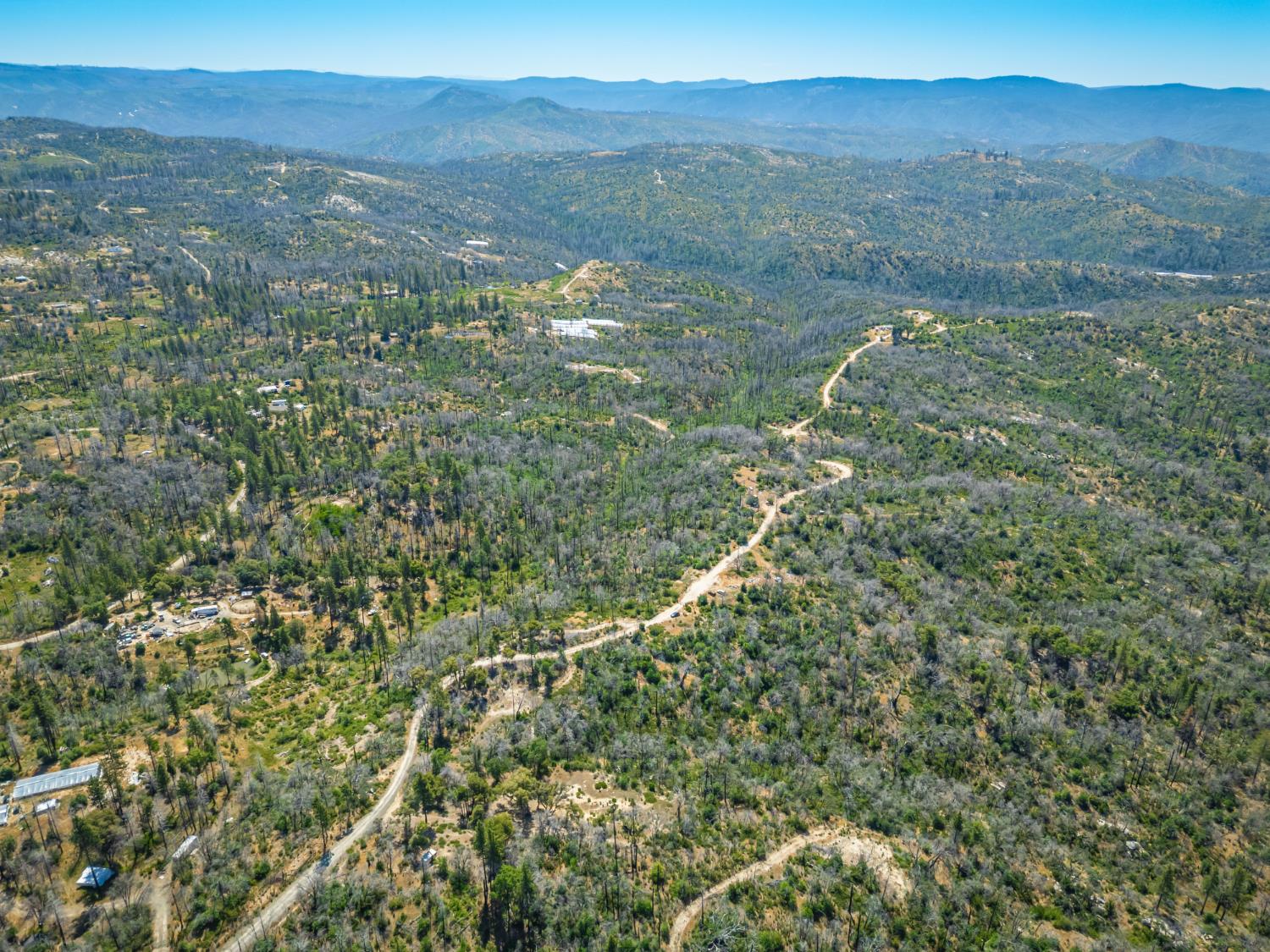 Possum Lane, Berry Creek, California image 29