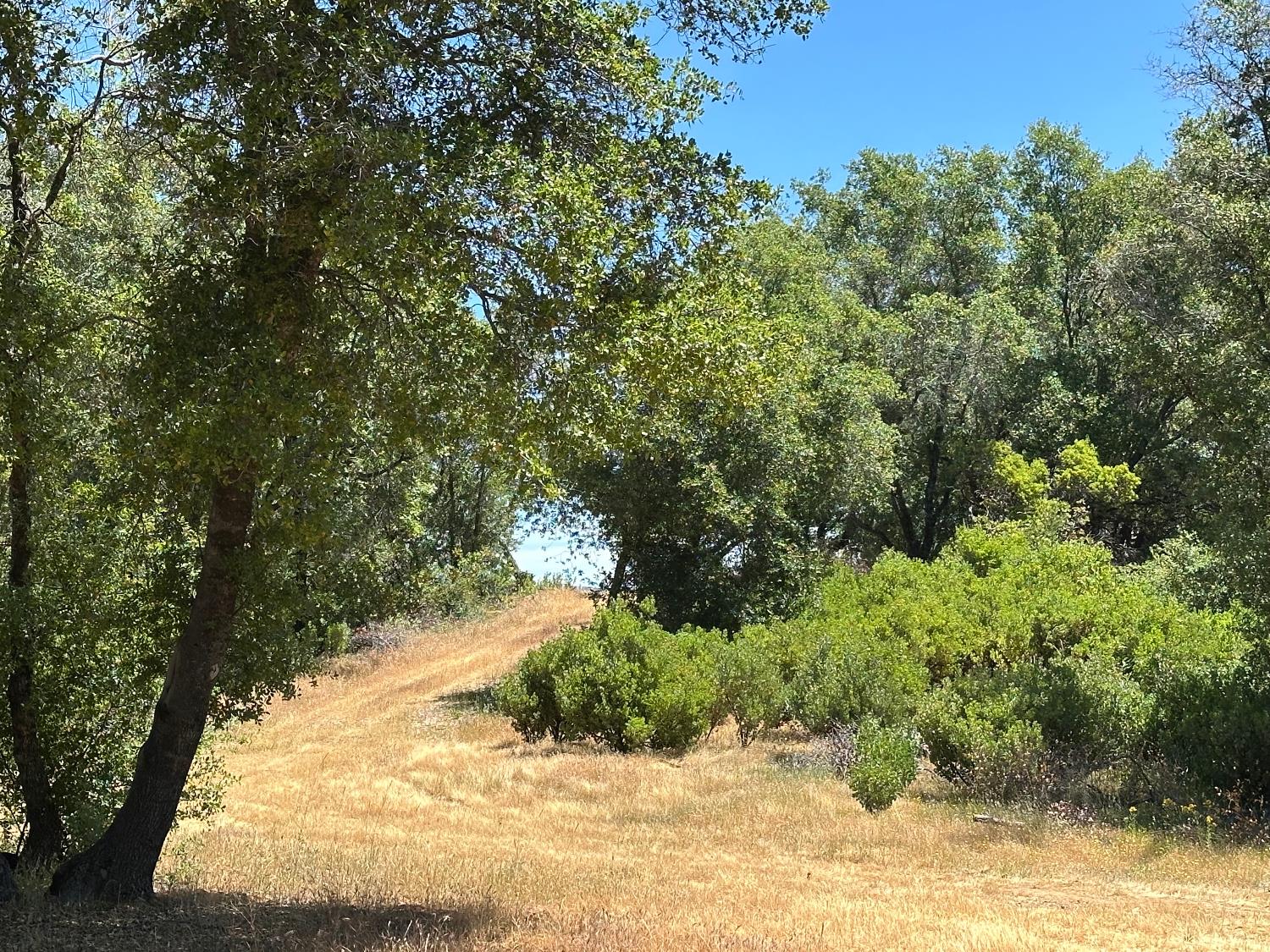 Perimeter Road, Grass Valley, California image 24