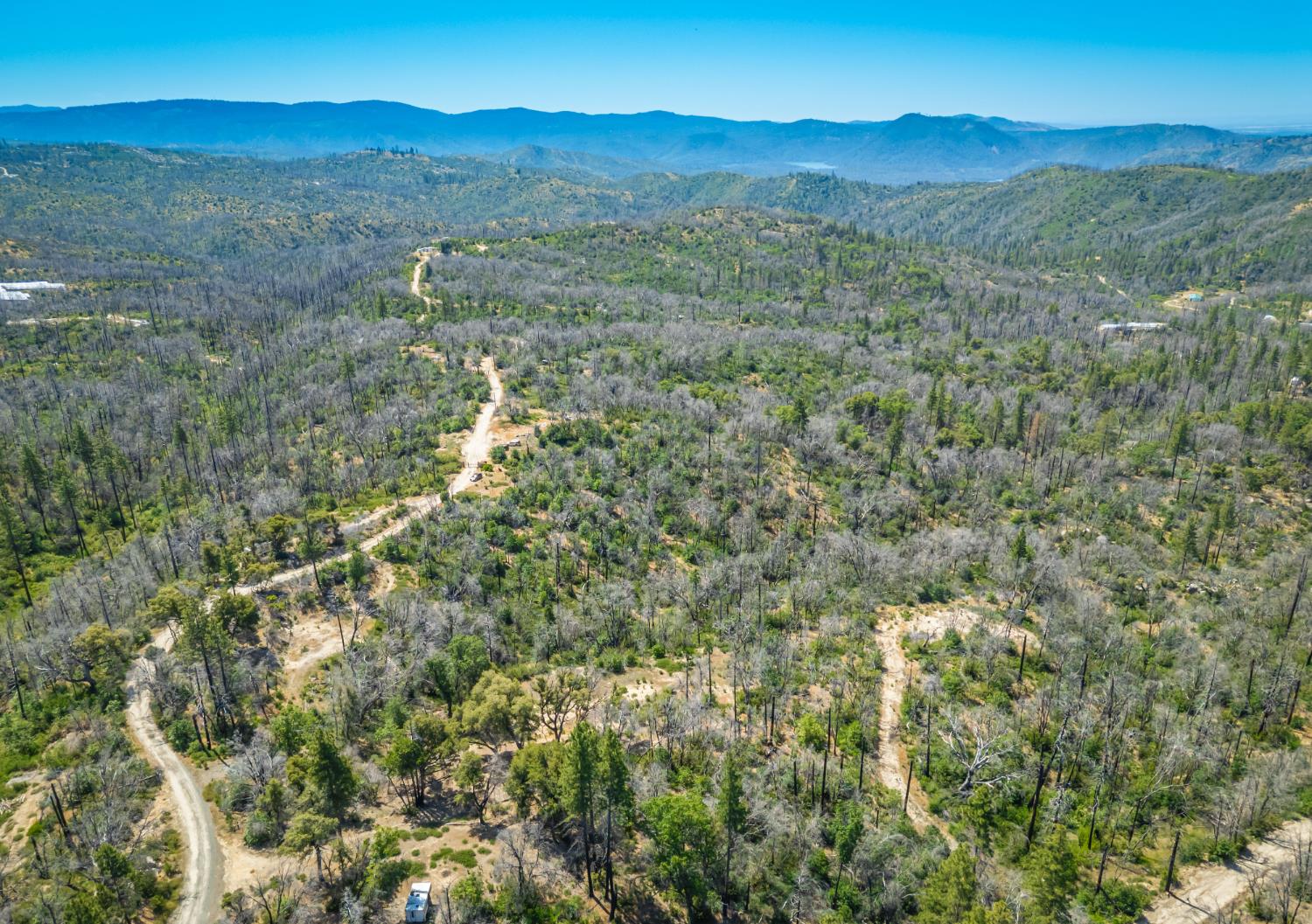 Possum Lane, Berry Creek, California image 11