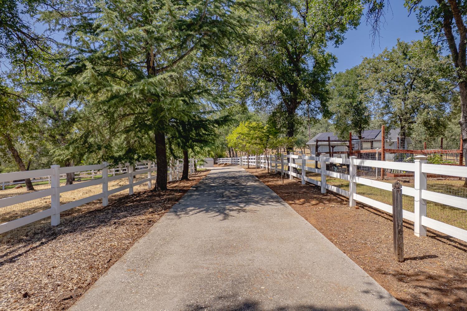 Frontier Trail, Browns Valley, California image 32
