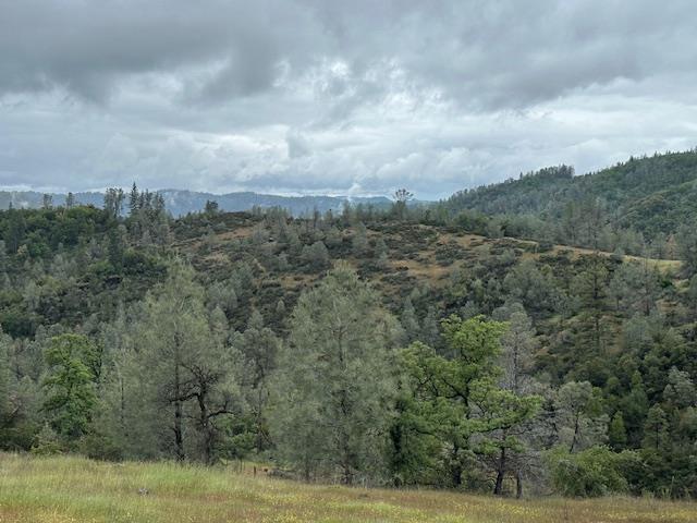 Quarry Turn Road, Foresthill, California image 1