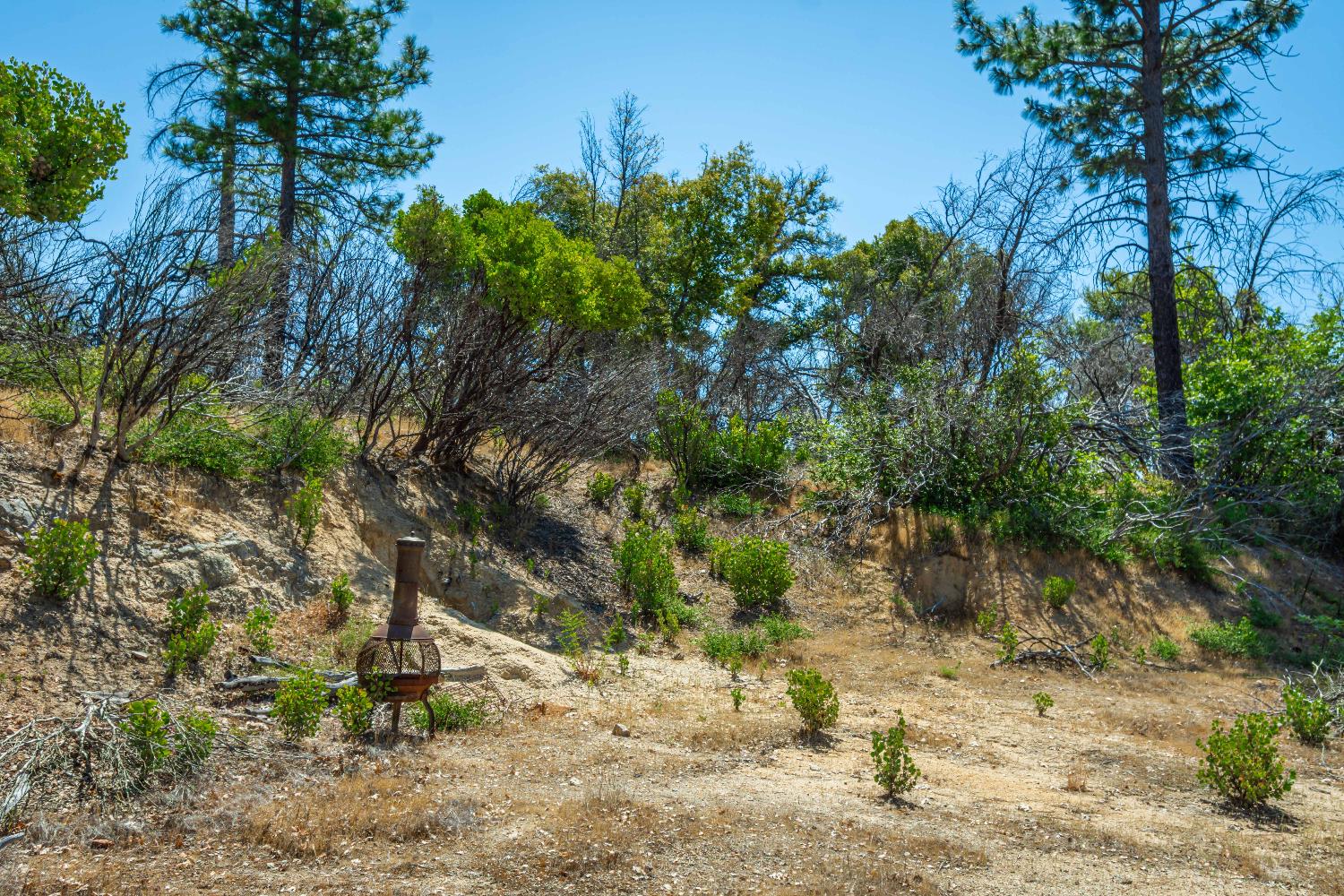 Detail Gallery Image 54 of 64 For 0 Possum Ln, Berry Creek,  CA 95916 - – Beds | – Baths