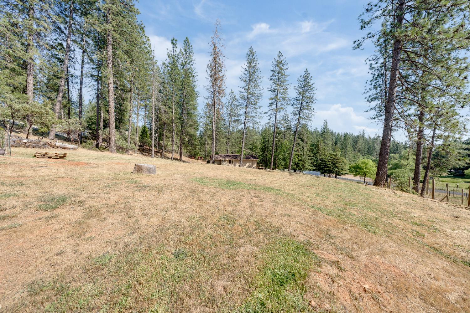 Birchwood Drive, Foresthill, California image 33