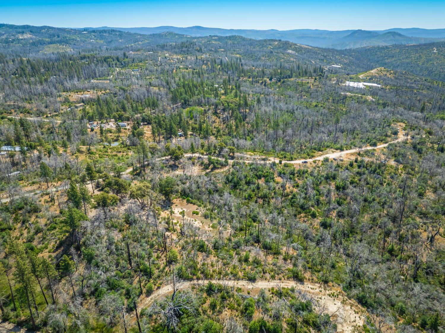 Possum Lane, Berry Creek, California image 2
