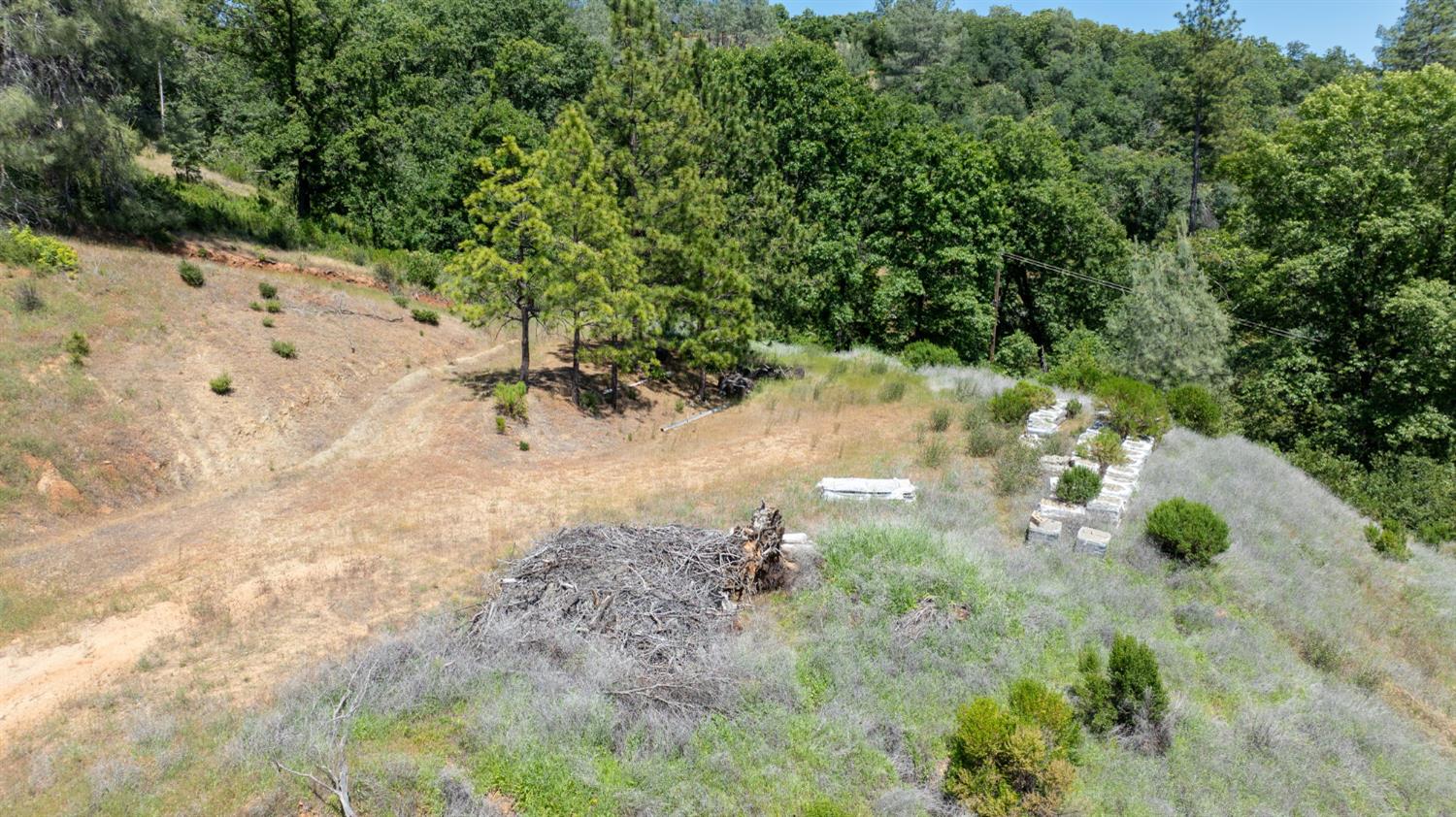 Fullmoon Drive, Placerville, California image 7