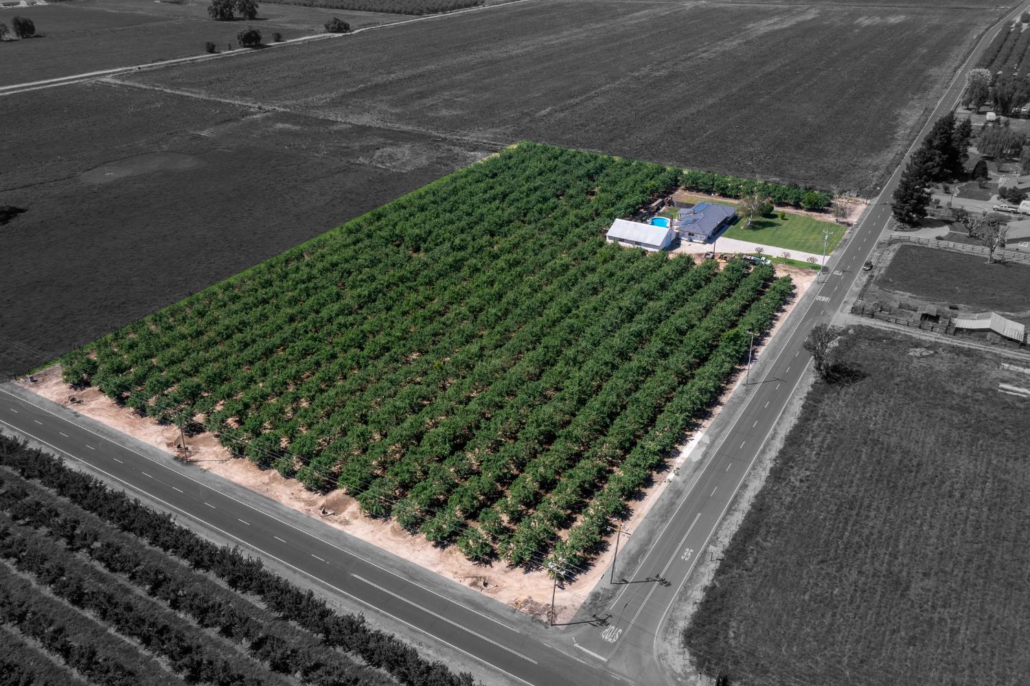 Lemon Avenue, Escalon, California image 50