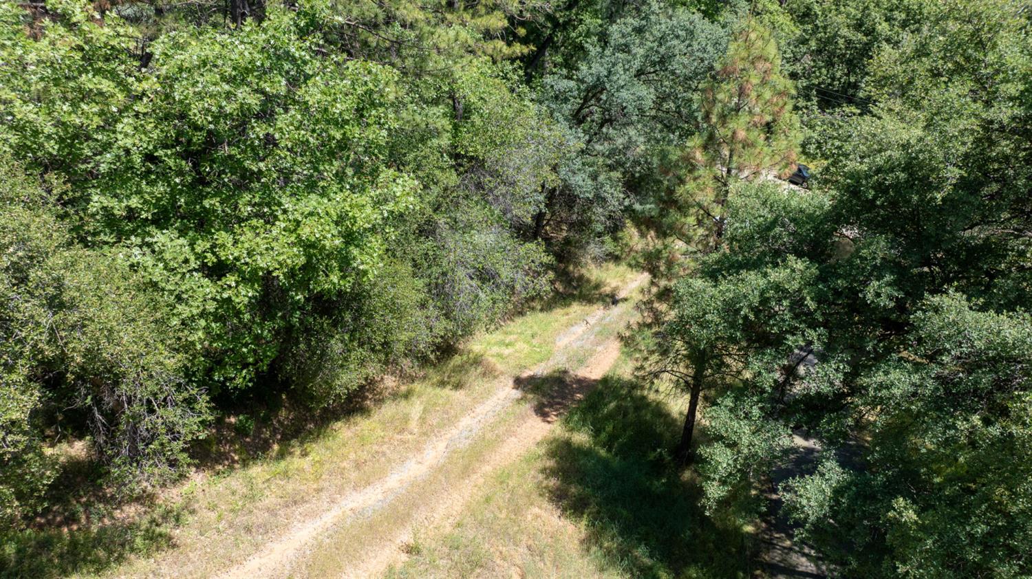 Fullmoon Drive, Placerville, California image 28