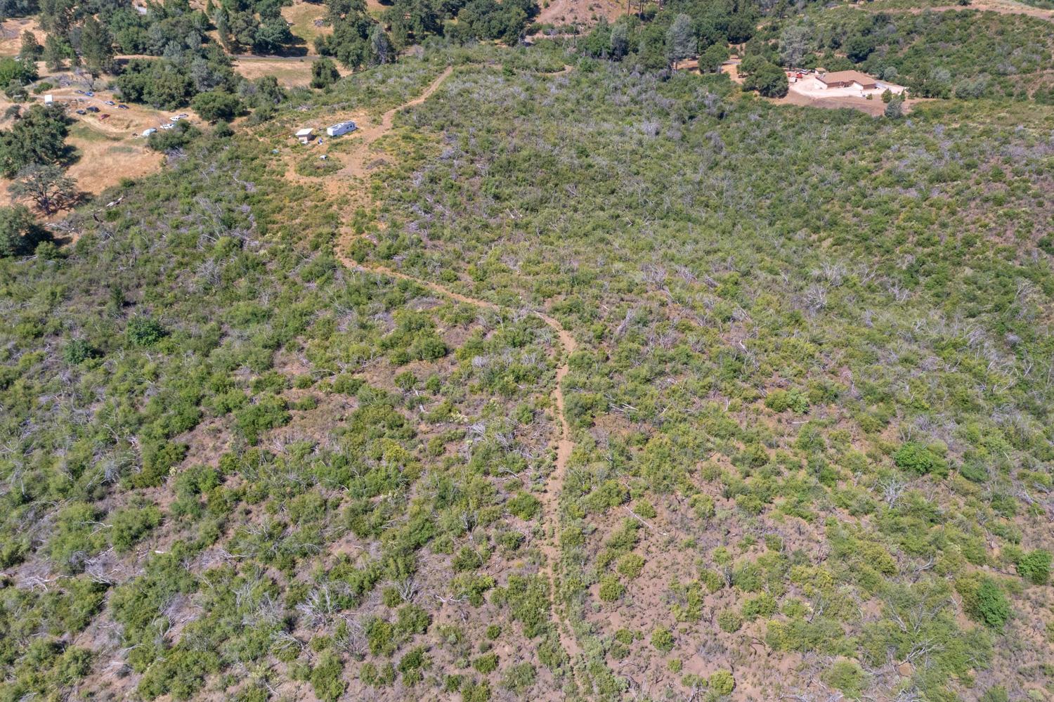 Starlight Lane, Mountain Ranch, California image 10