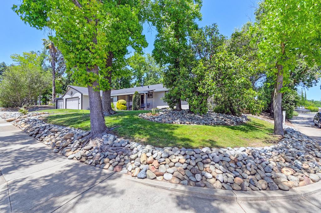 Cal Court, Citrus Heights, California image 3