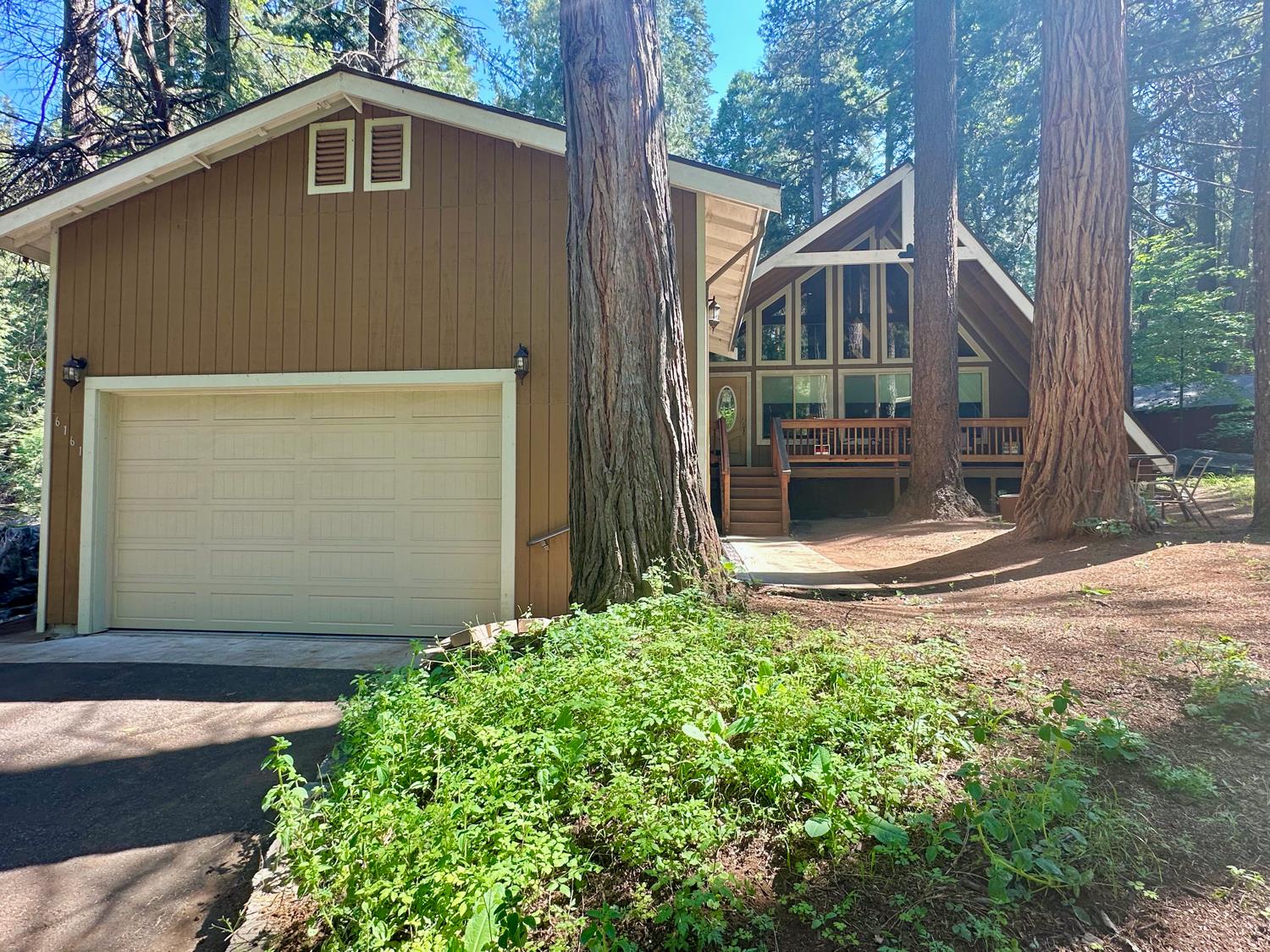 Bucktail, Pollock Pines, California image 18