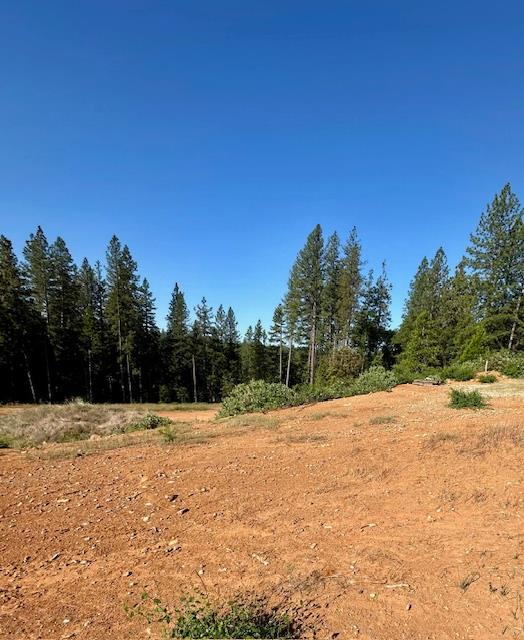 Greenhorn Road, Grass Valley, California image 6