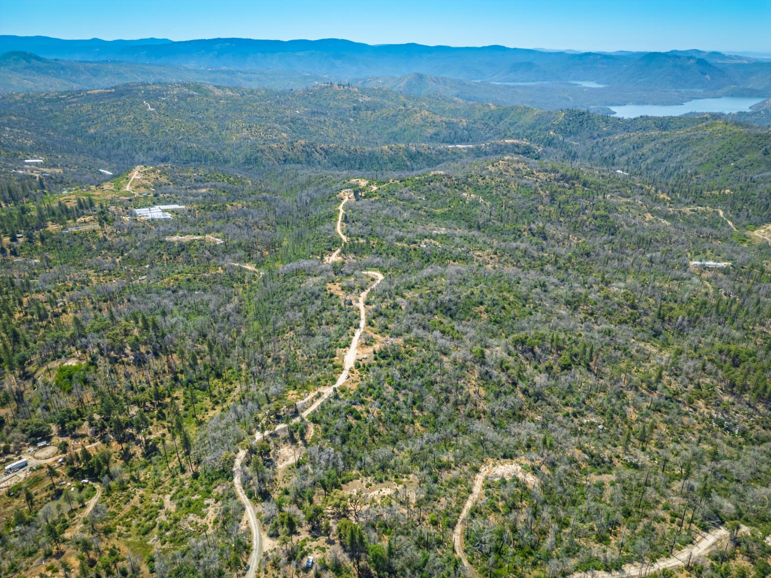 Possum Lane, Berry Creek, California image 28