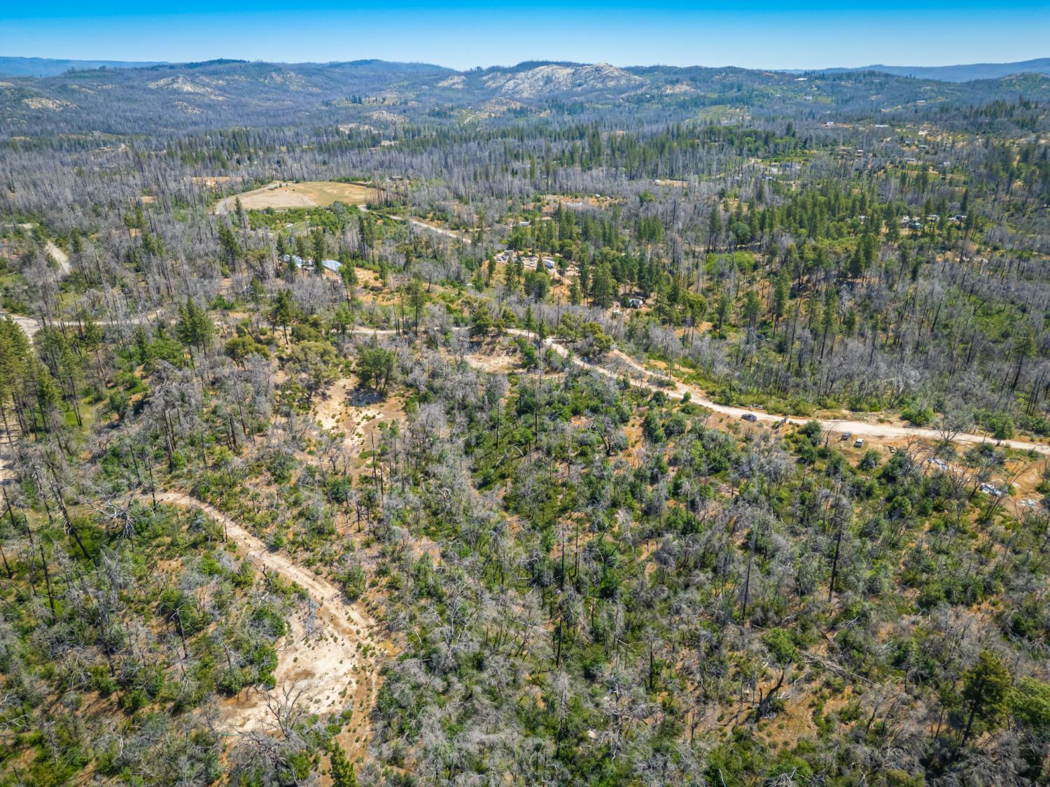 Possum Lane, Berry Creek, California image 6