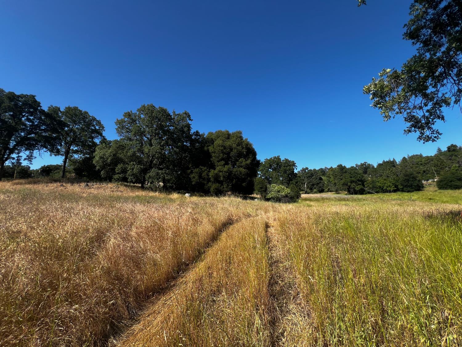 La Mesa Lane, Somerset, California image 21
