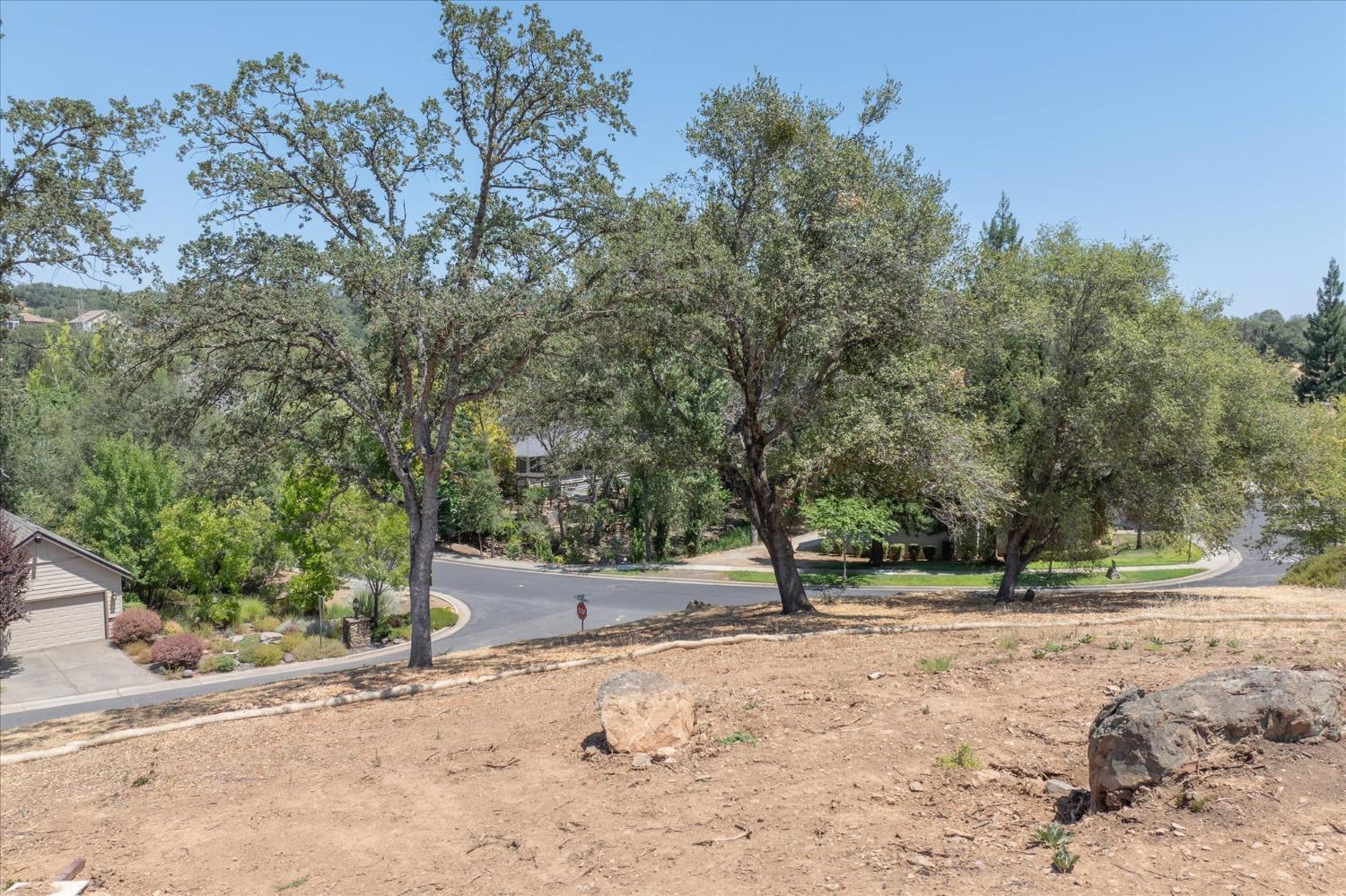 Rosebush Court, Angels Camp, California image 3