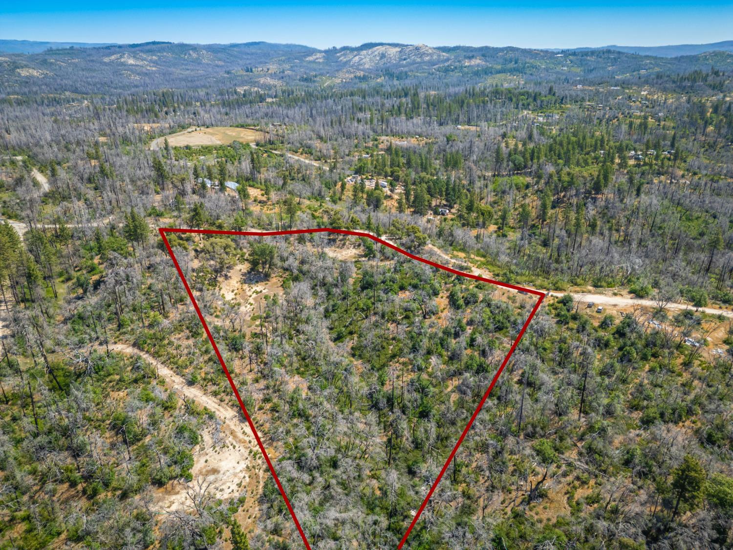 Possum Lane, Berry Creek, California image 5