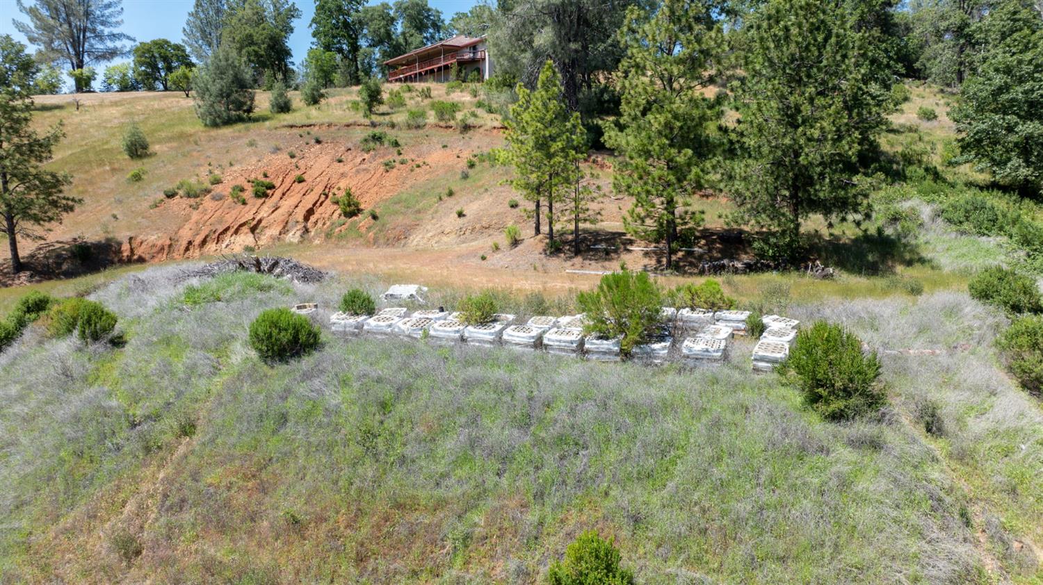 Fullmoon Drive, Placerville, California image 6
