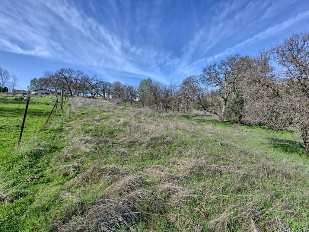 Murphys Grade Road, Angels Camp, California image 3