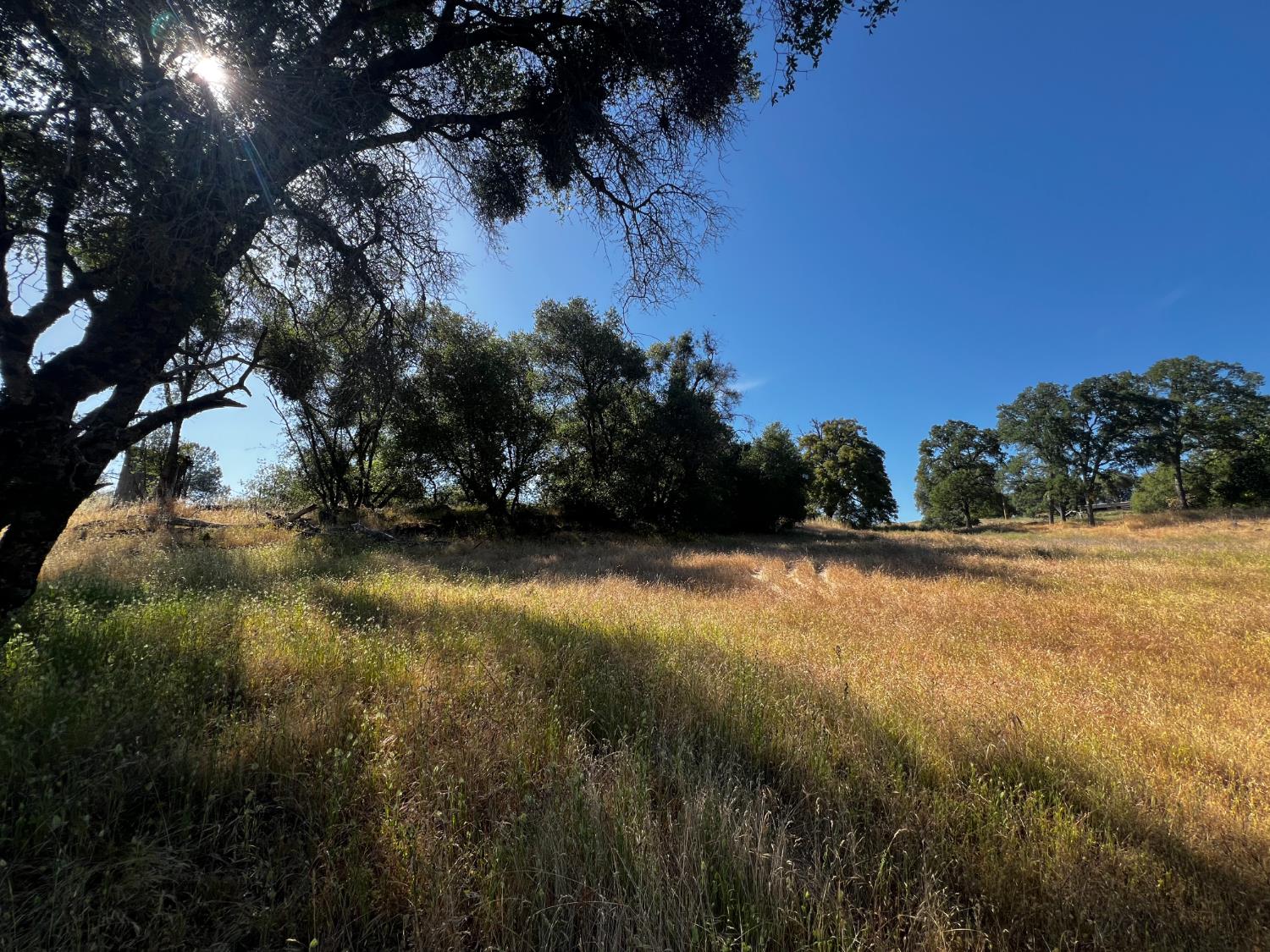La Mesa Lane, Somerset, California image 20