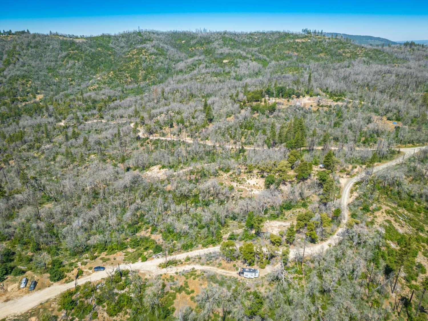 Possum Lane, Berry Creek, California image 18