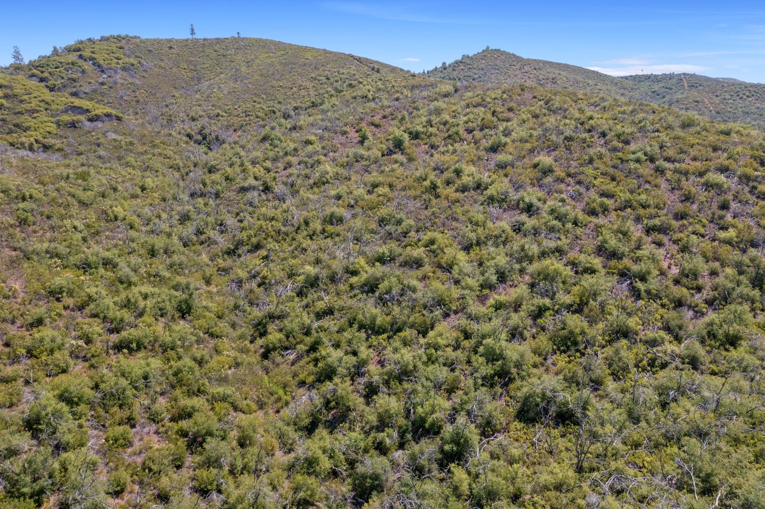 Starlight Lane, Mountain Ranch, California image 7