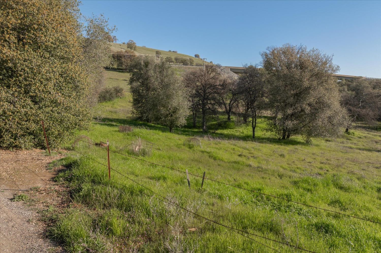 Murphys Grade Road, Angels Camp, California image 10