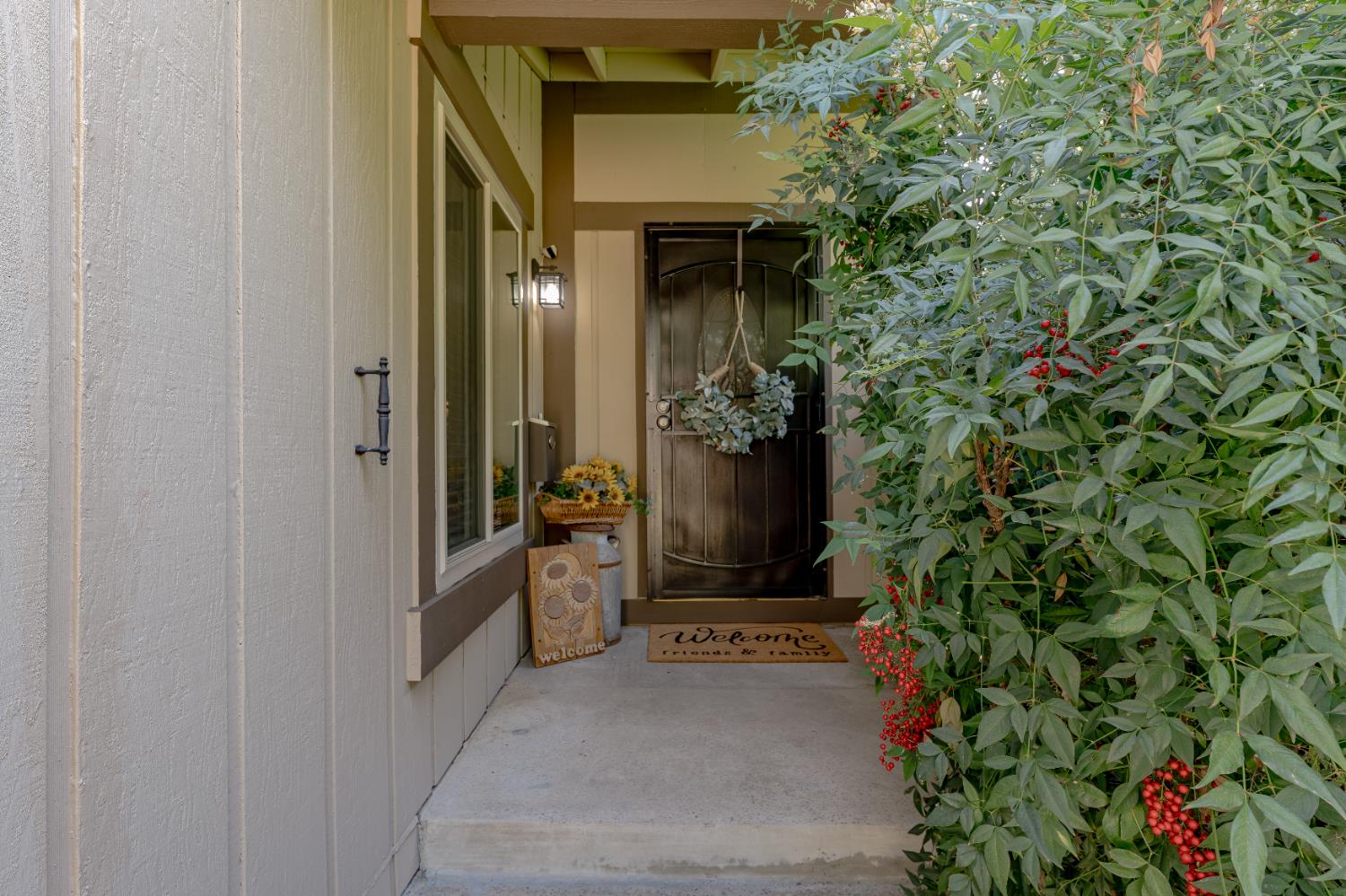 Toluca Lane, Citrus Heights, California image 31
