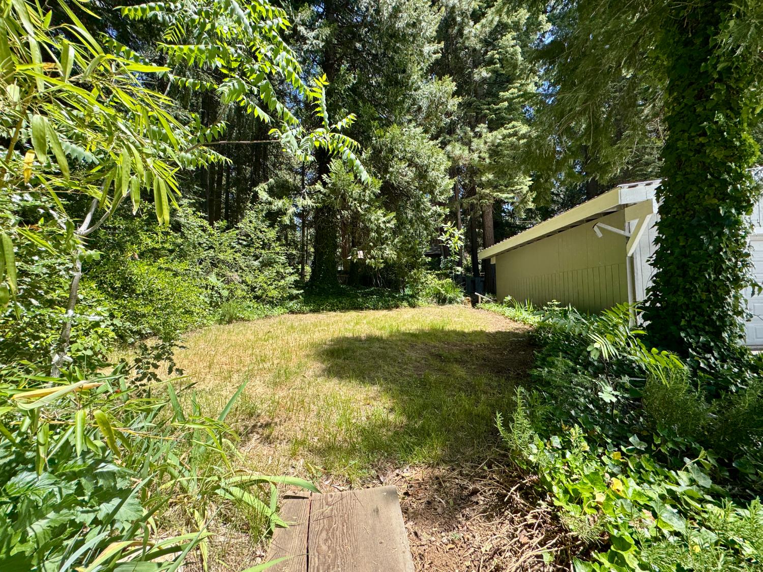 Pony Express Trail, Pollock Pines, California image 43