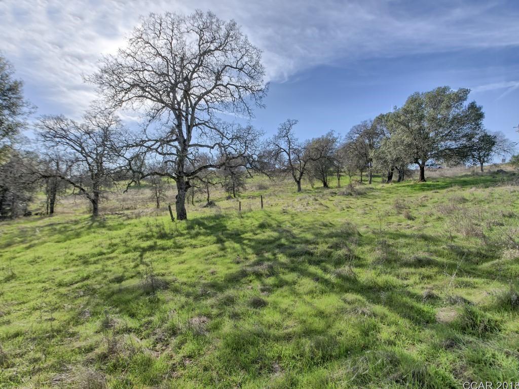 Murphys Grade Road, Angels Camp, California image 19