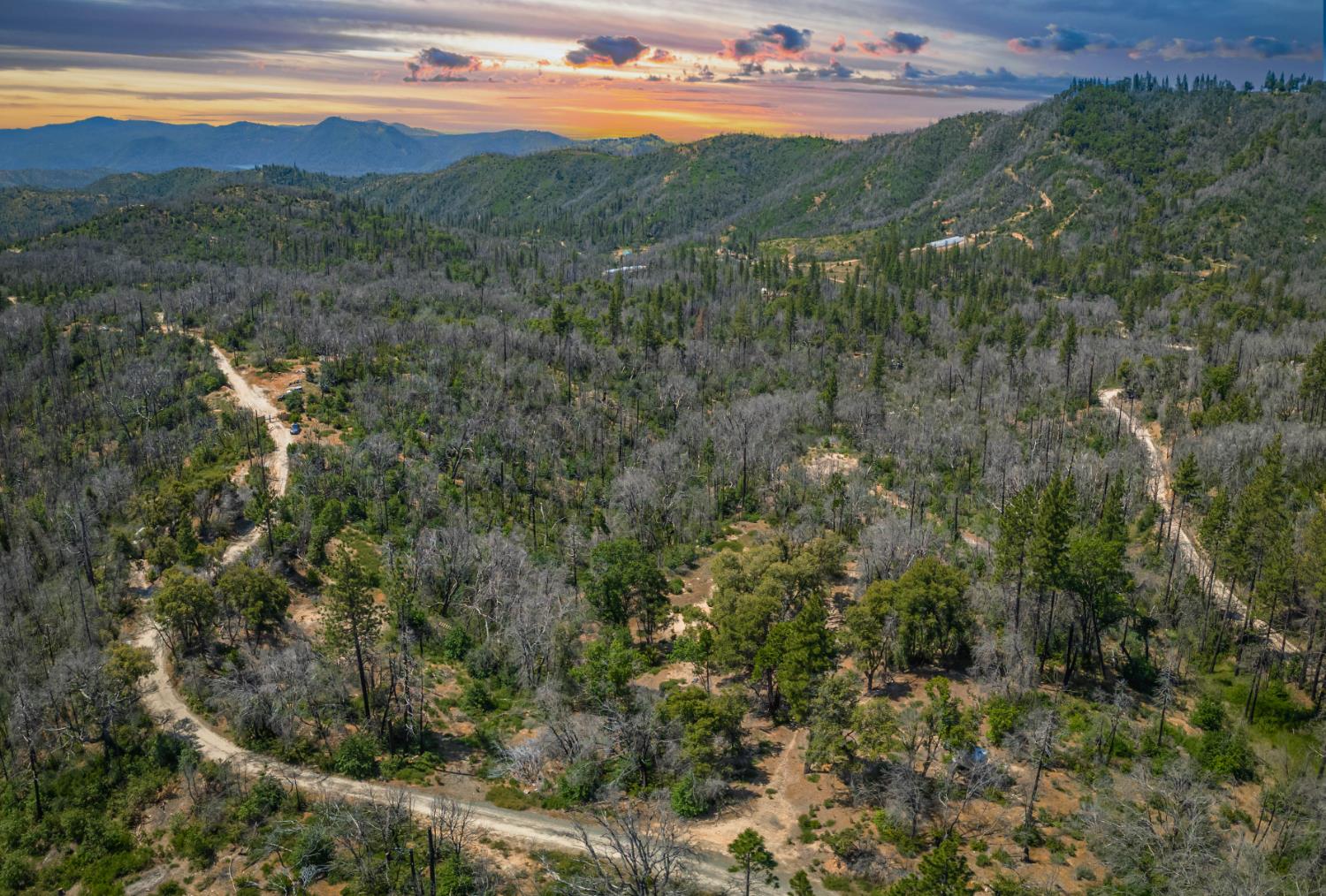 Possum Lane, Berry Creek, California image 36