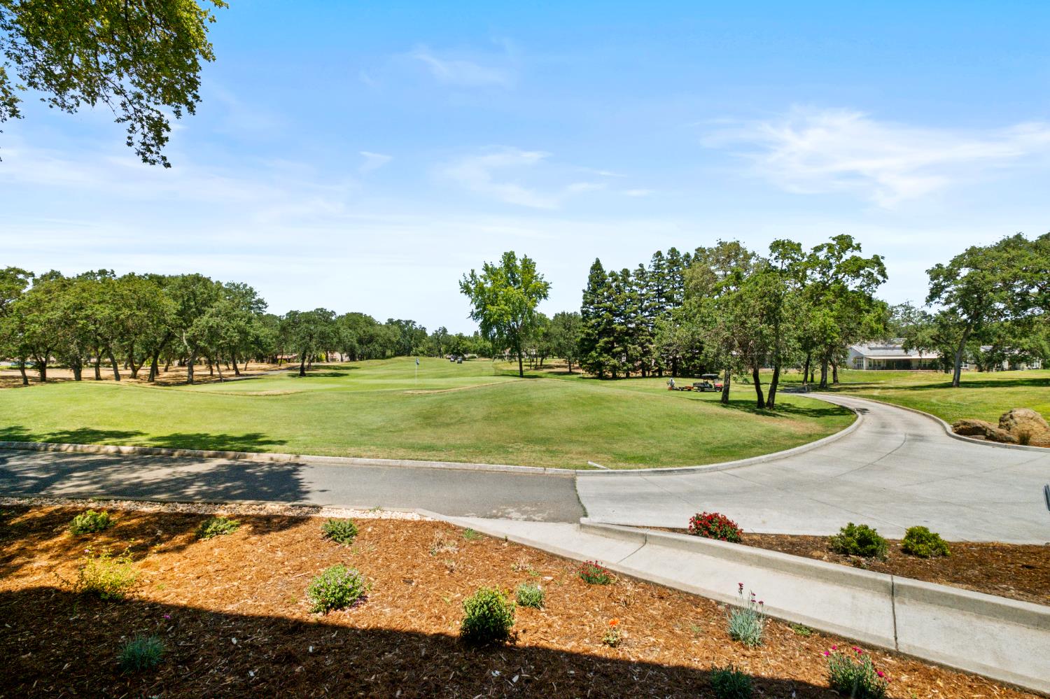 Photo #62: 225042950 Listing: Photo #62