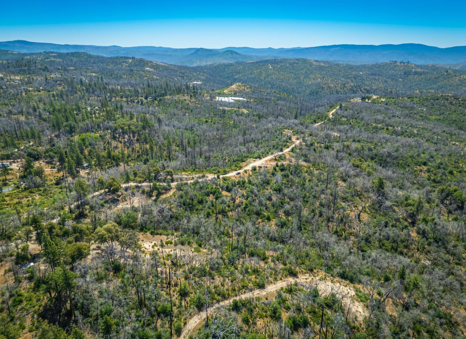 Possum Lane, Berry Creek, California image 8