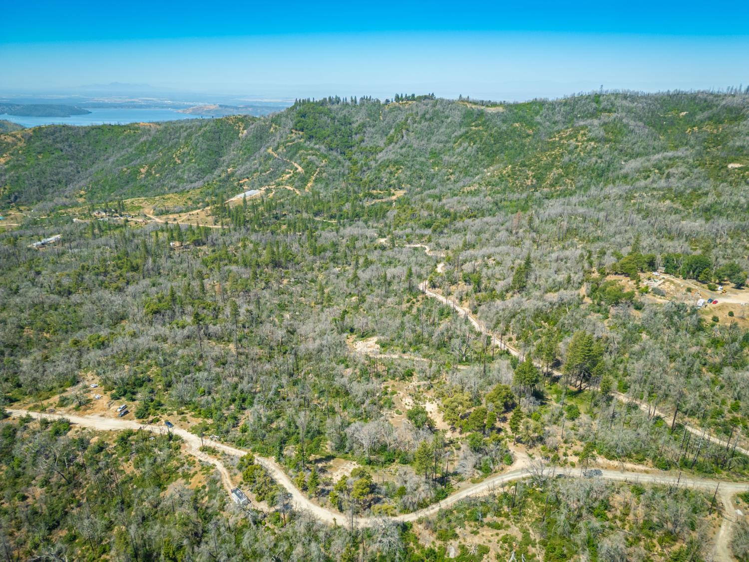 Possum Lane, Berry Creek, California image 23