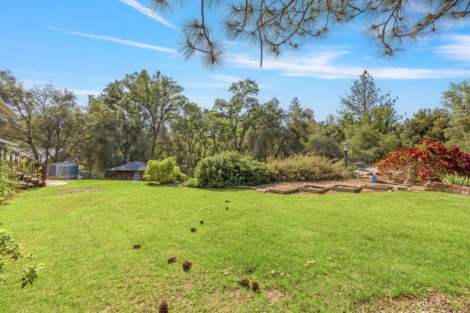 Road 426, Oakhurst, California image 25