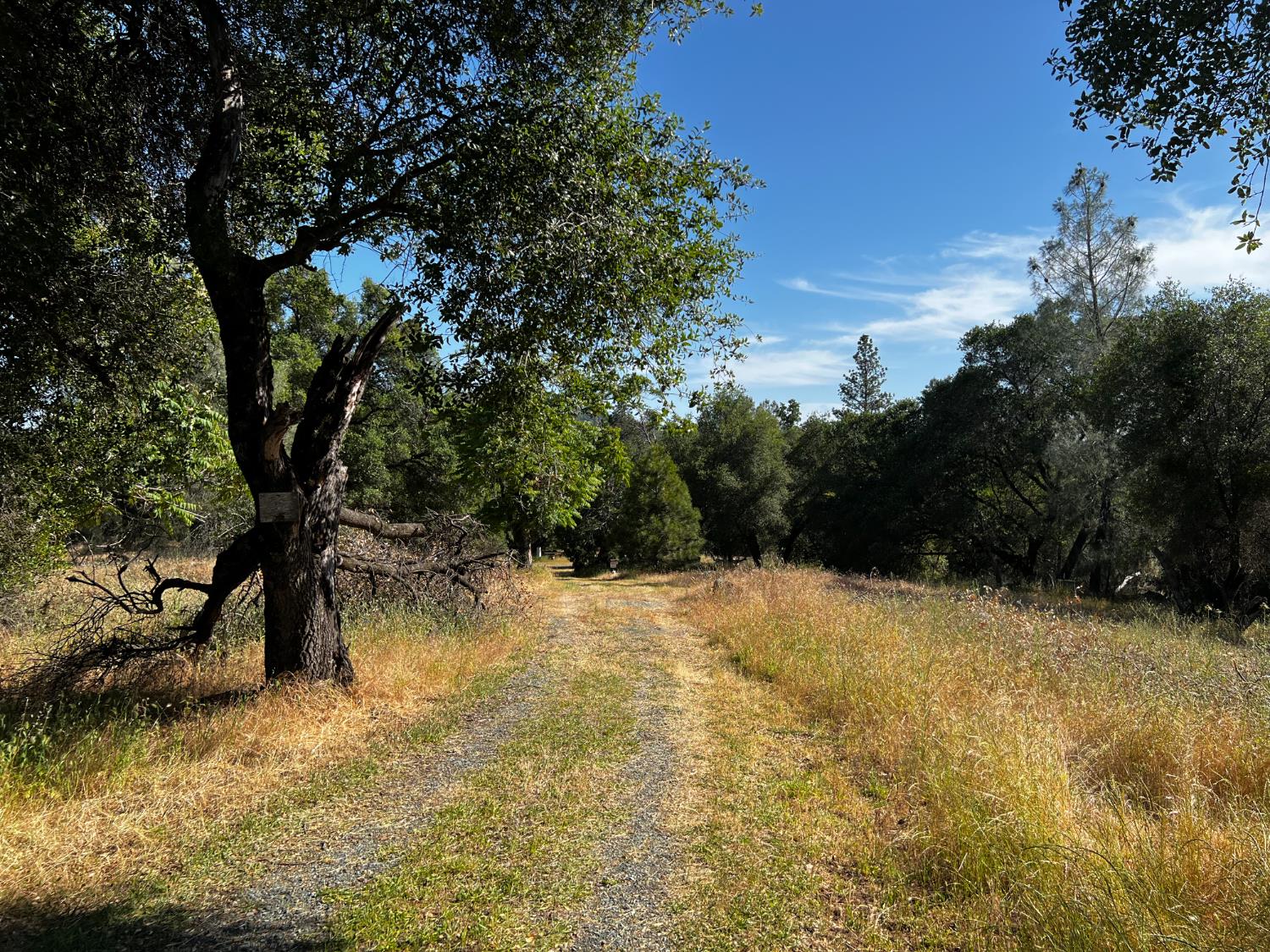 La Mesa Lane, Somerset, California image 30