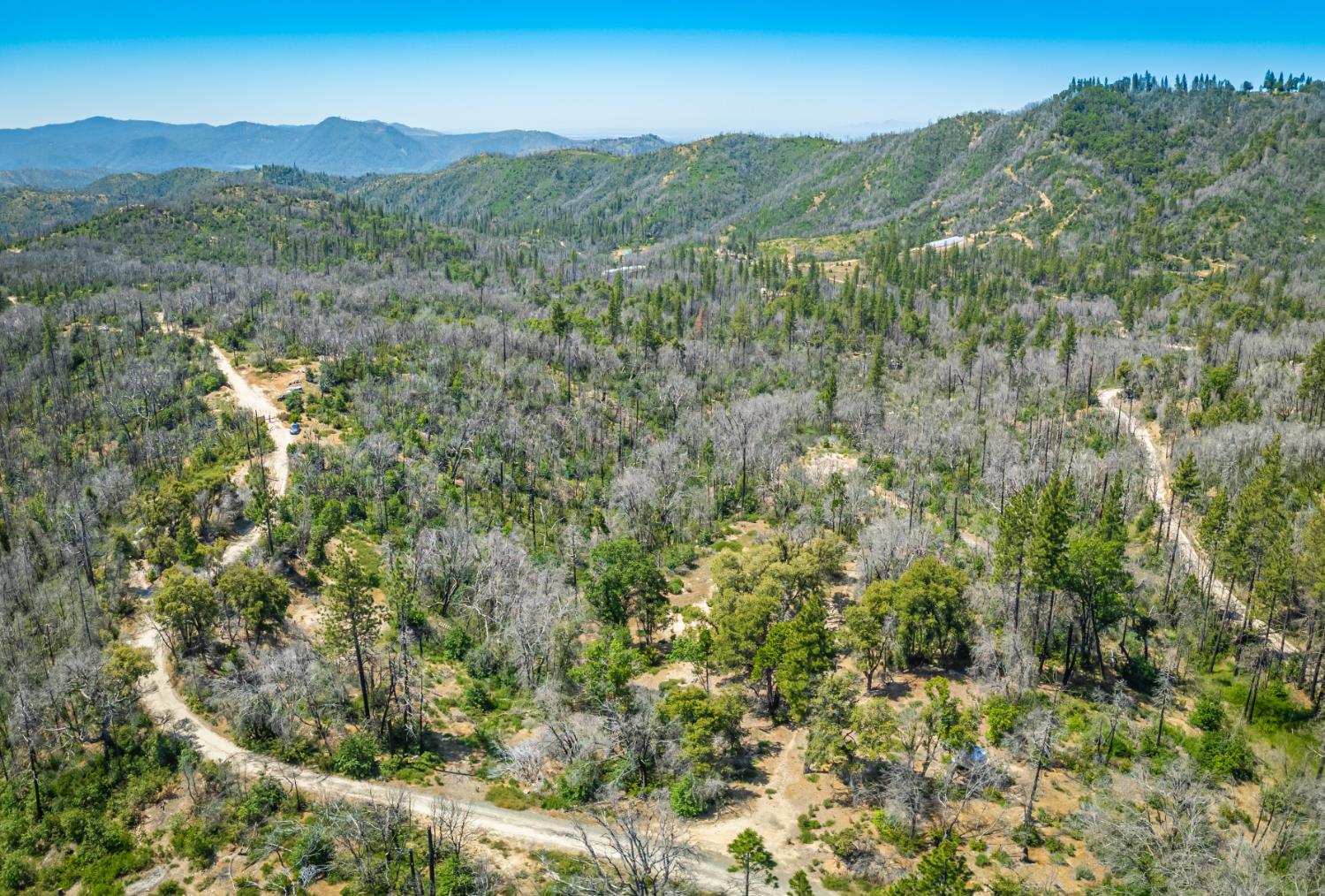 Possum Lane, Berry Creek, California image 37