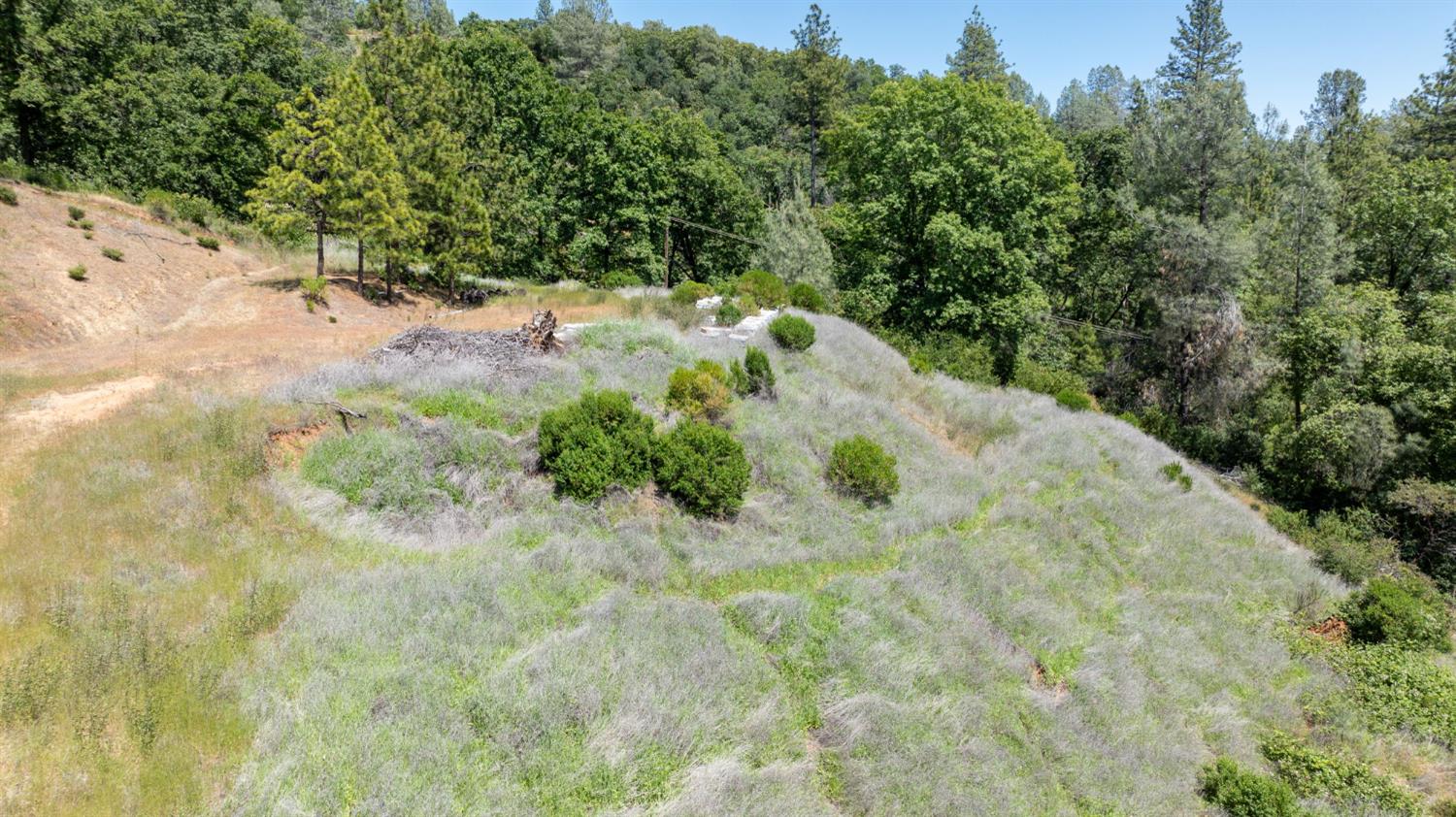 Fullmoon Drive, Placerville, California image 26