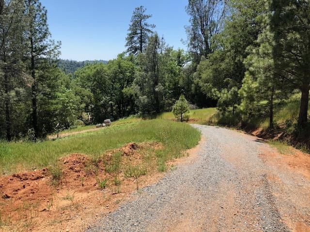 Fullmoon Drive, Placerville, California image 13