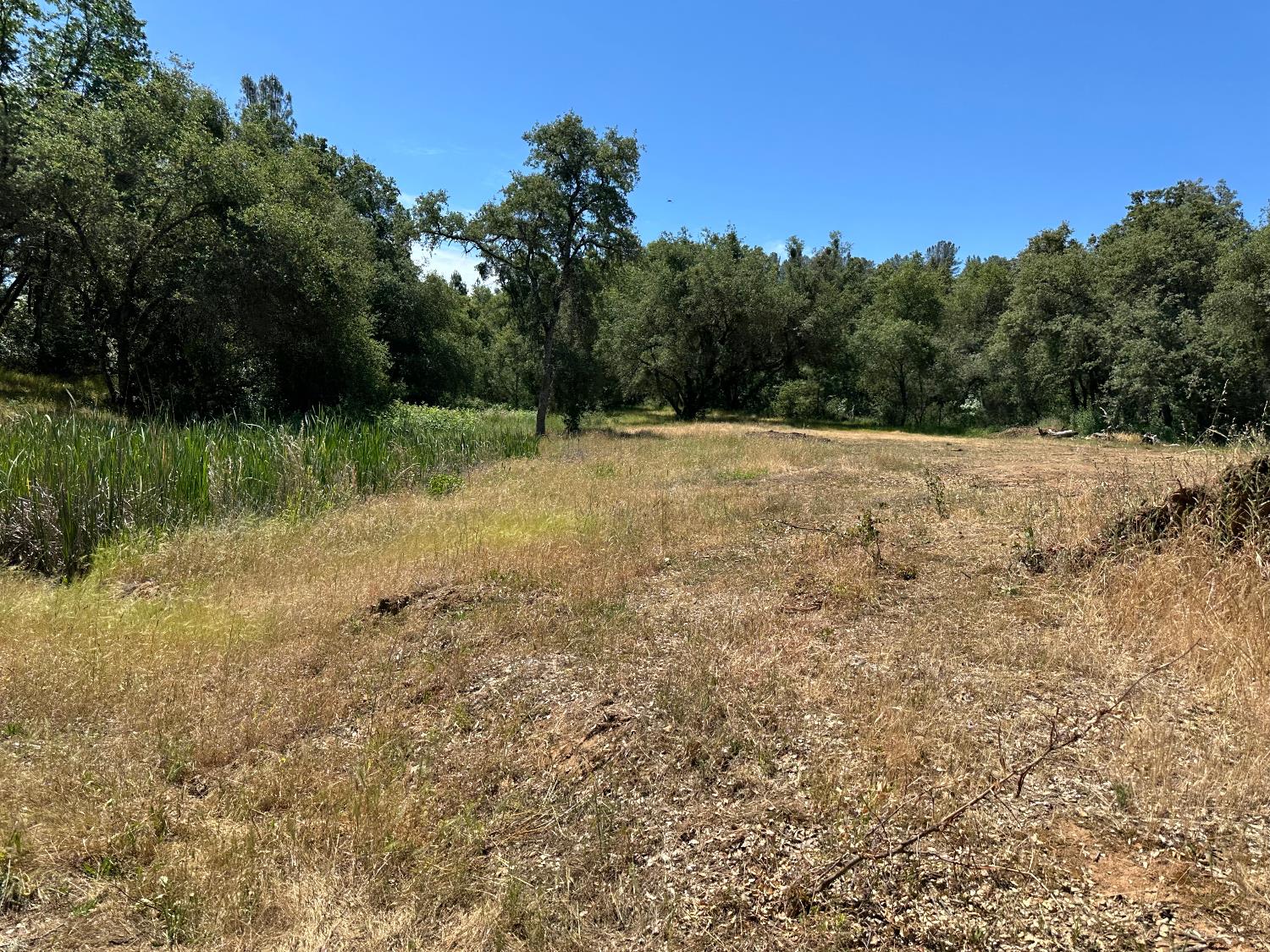 Perimeter Road, Grass Valley, California image 14