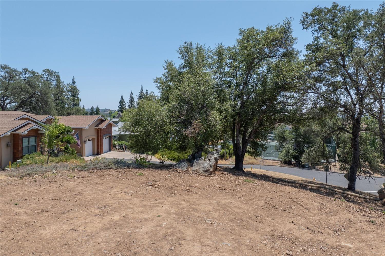 Rosebush Court, Angels Camp, California image 5