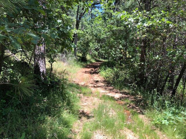 Fullmoon Drive, Placerville, California image 21