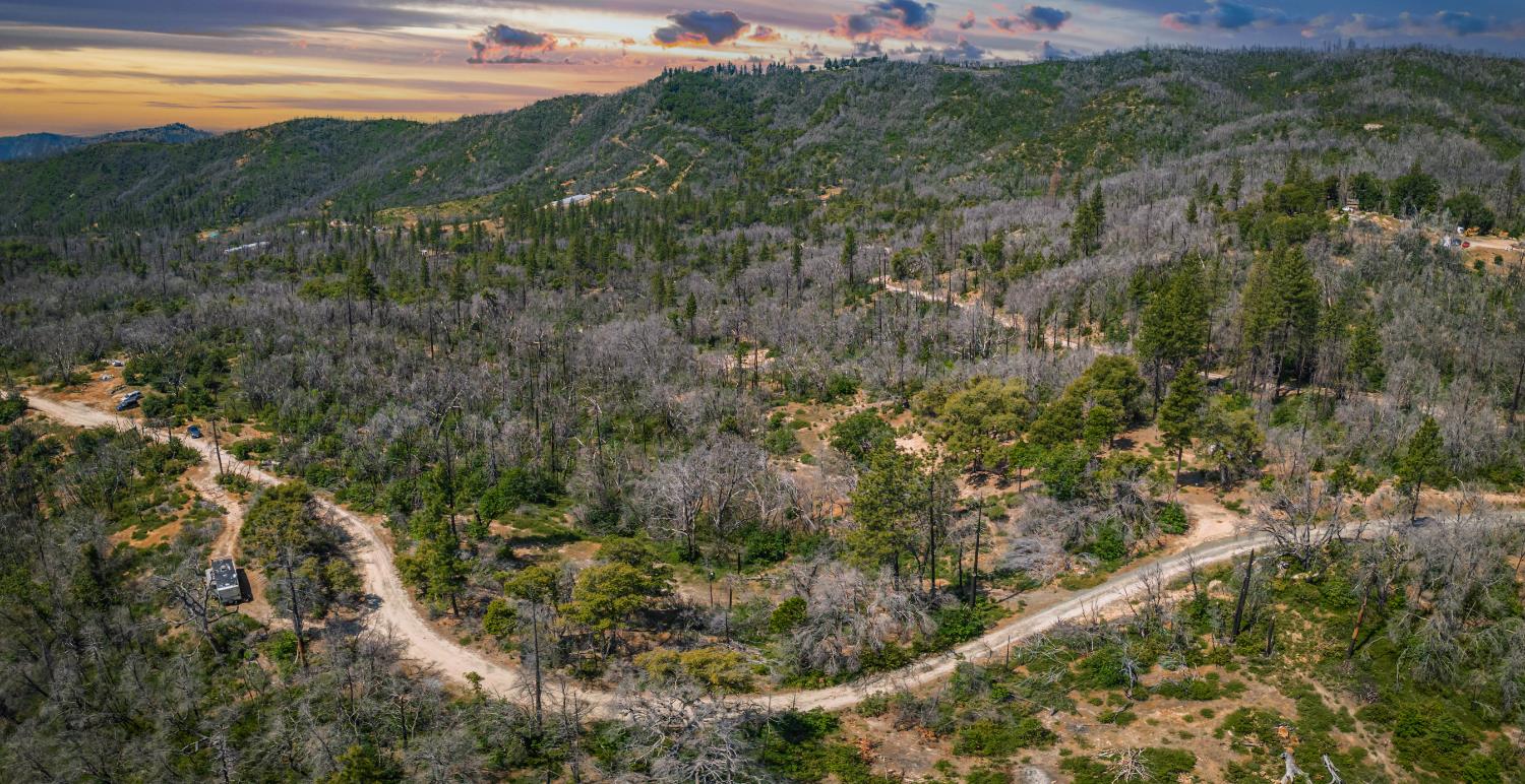 Possum Lane, Berry Creek, California image 34