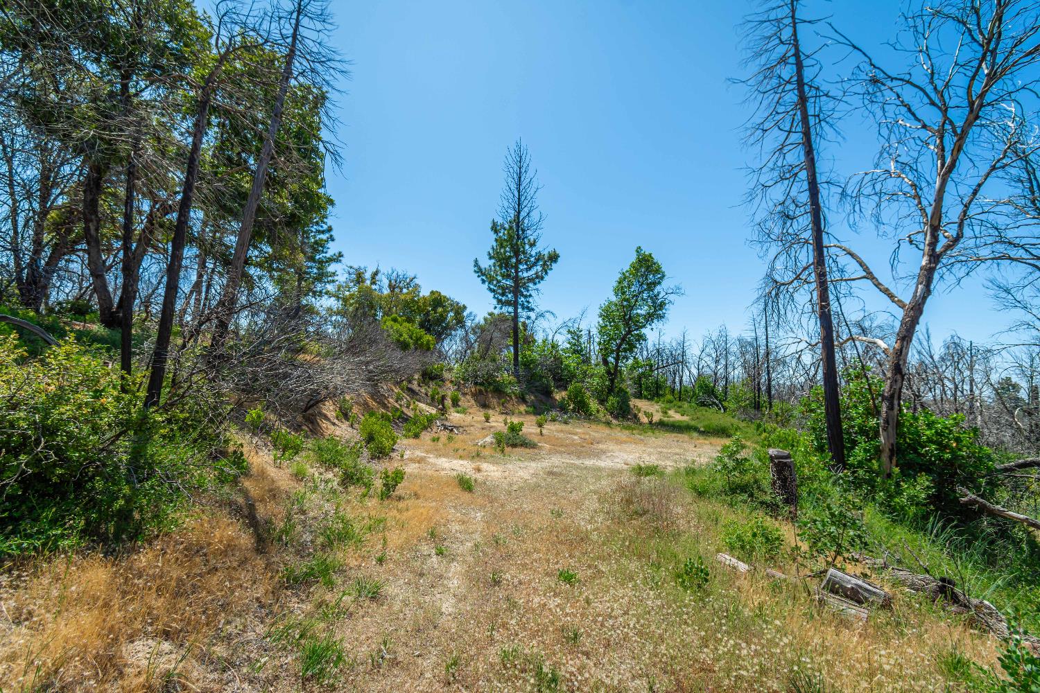 Detail Gallery Image 52 of 64 For 0 Possum Ln, Berry Creek,  CA 95916 - – Beds | – Baths