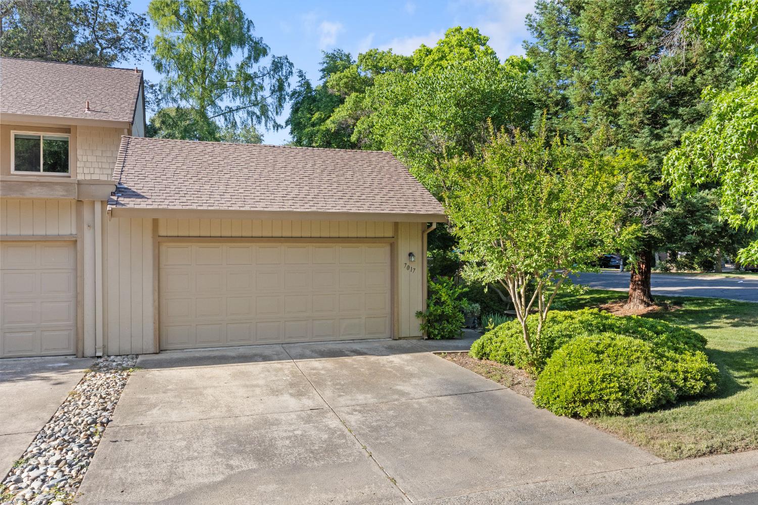 Photo #38: 225070023 Listing: Photo #38