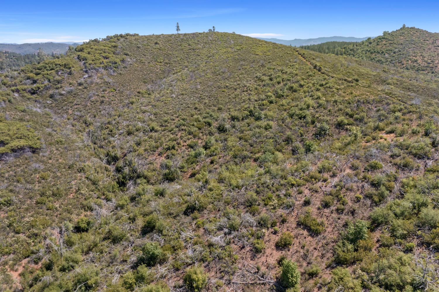 Starlight Lane, Mountain Ranch, California image 8